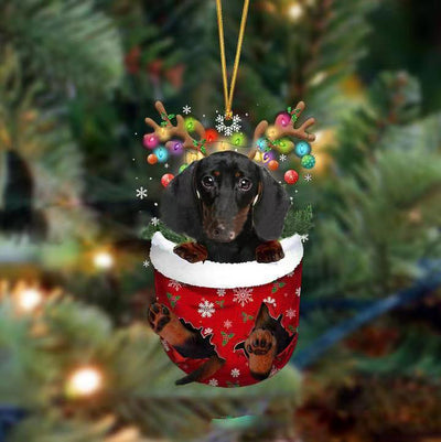 Black Dachshund