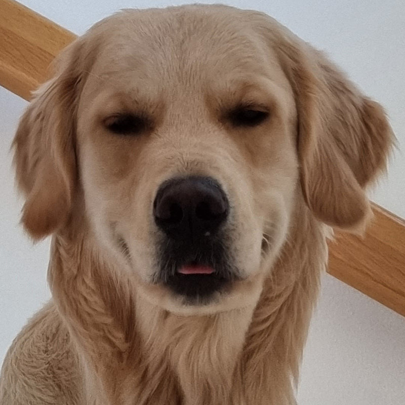 Purchase with love ❤️