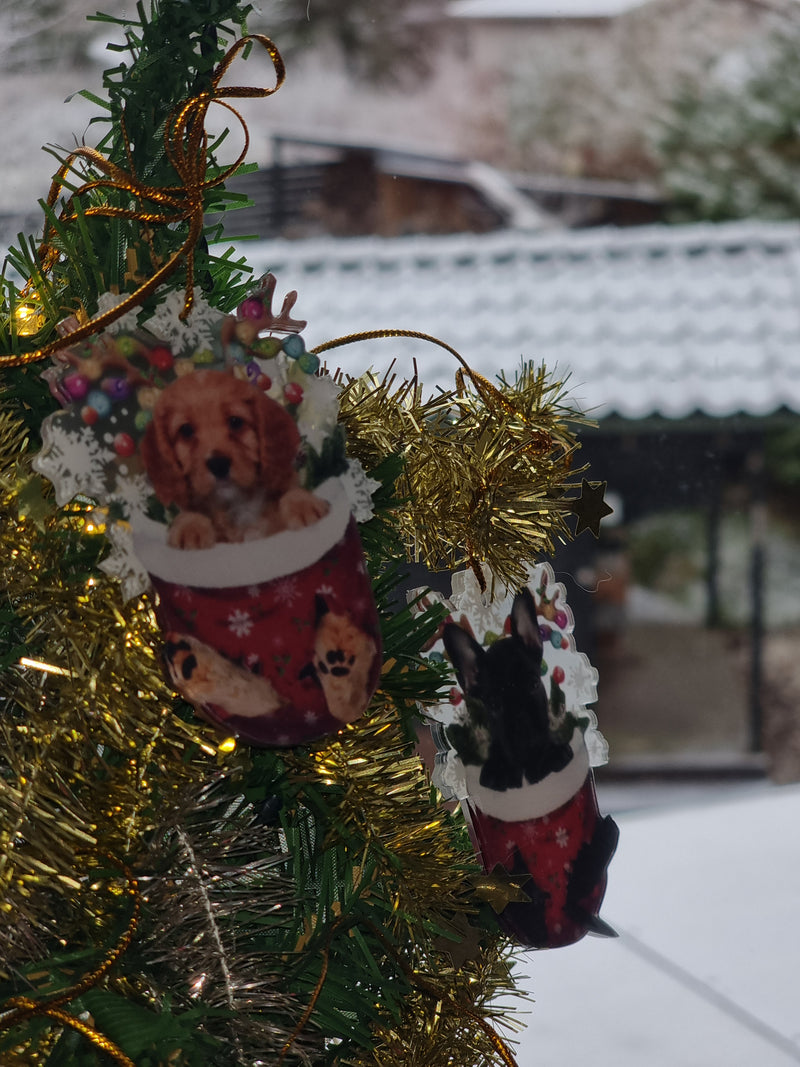 Hang it up and shine ✨