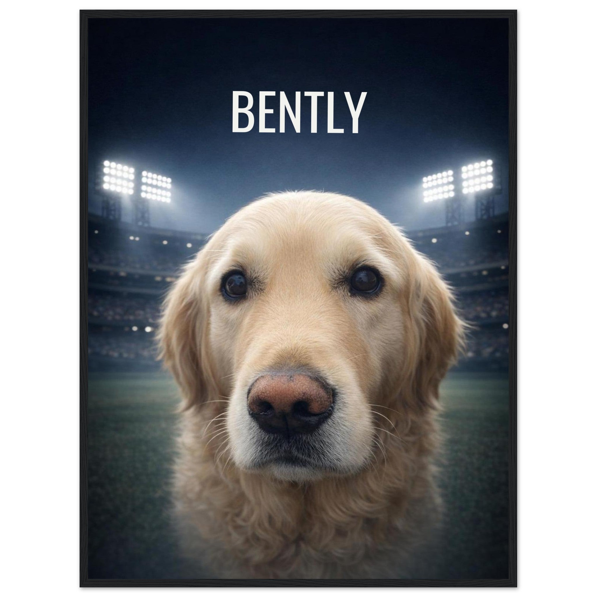 2044decd-de29-48bc-83f9-c5bc6f927948