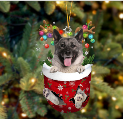 Norwegian Elkhound