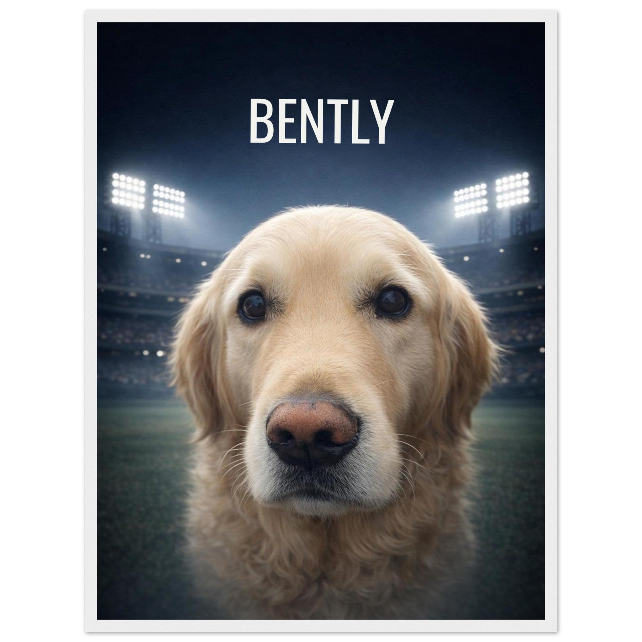 3511a492-528a-4677-b89d-7a2cfc559ce2