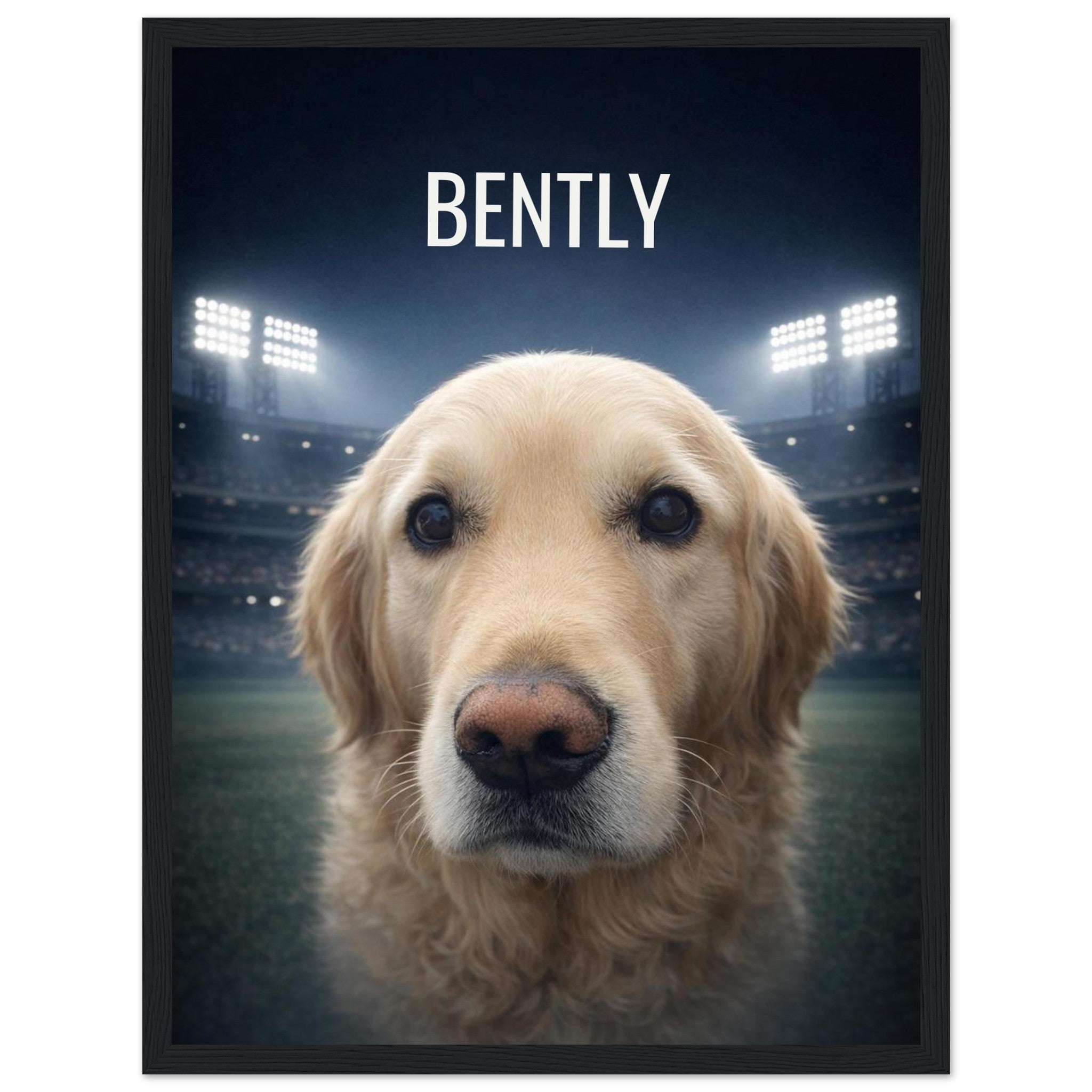 66ae12dc-aaba-40e3-a7ed-8e13ae3fadc0