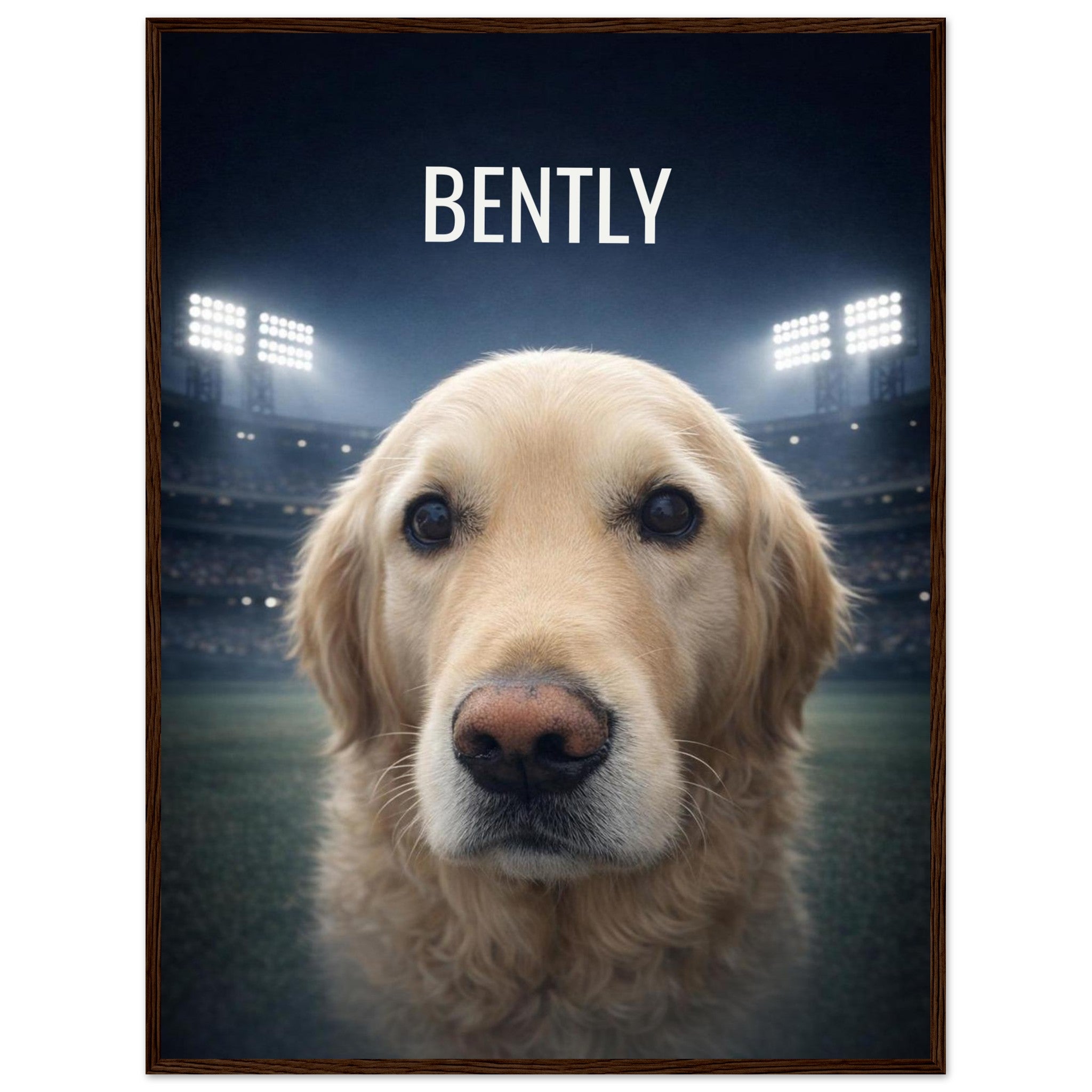 88799d99-65d7-4f1c-a3b4-07759195afbd