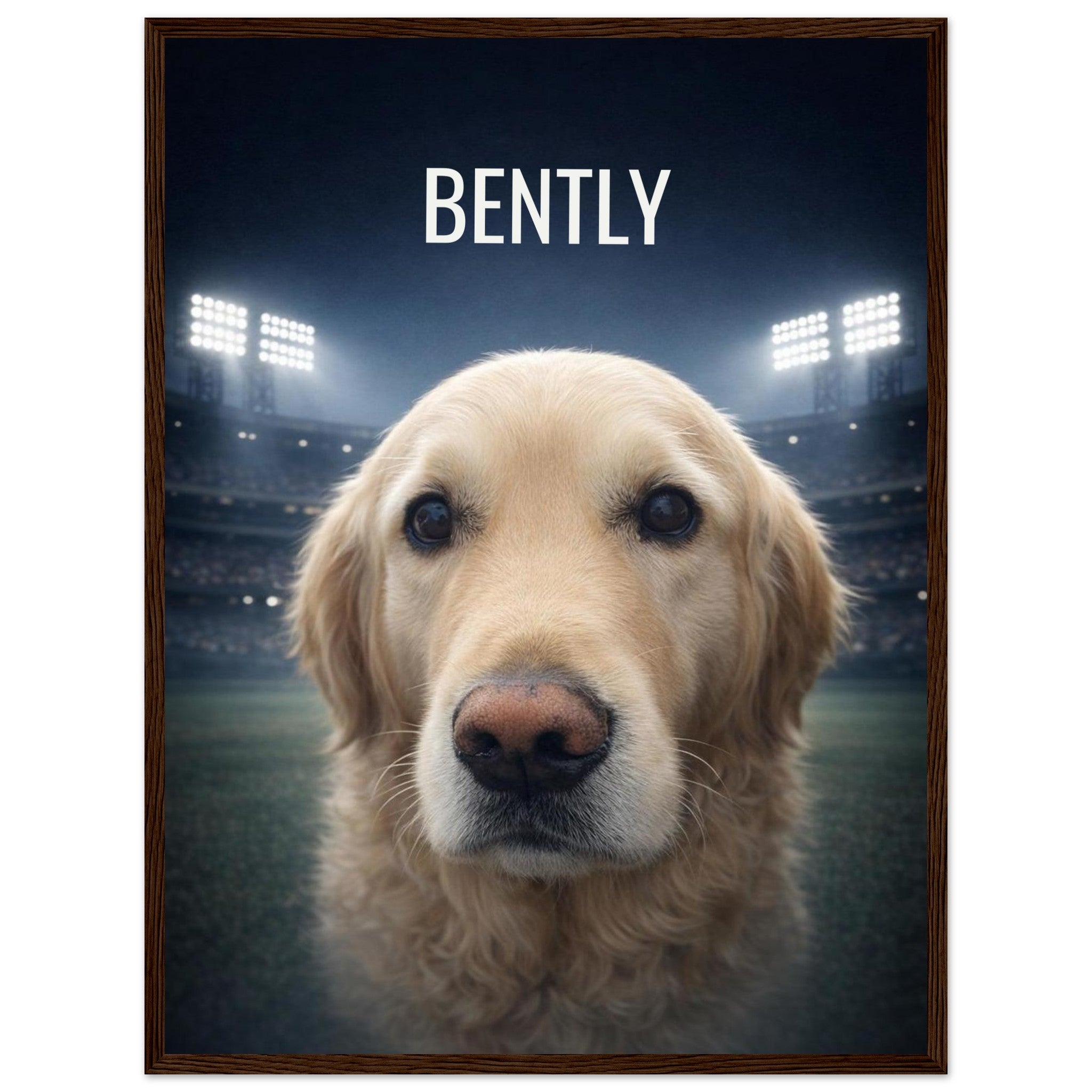 94079838-84dc-452b-a024-21db9d37195d