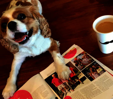 Bad example: Face angled away or poor lighting