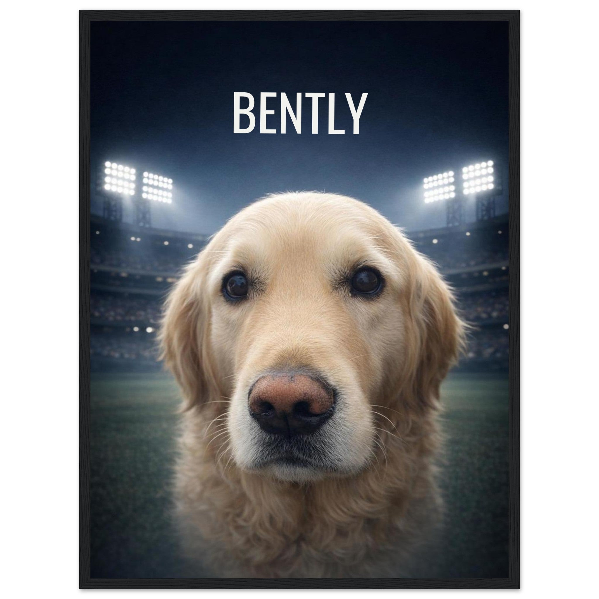 b09fe3e6-6f6b-4cf7-8094-6c99cd2ac370