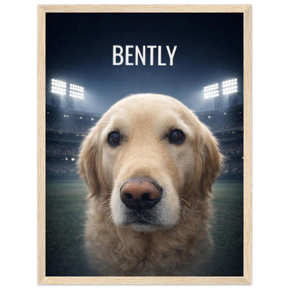 ceb7172f-23f4-4138-97a6-3bea303e42b3