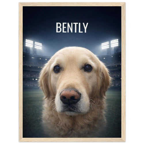 ceb7172f-23f4-4138-97a6-3bea303e42b3